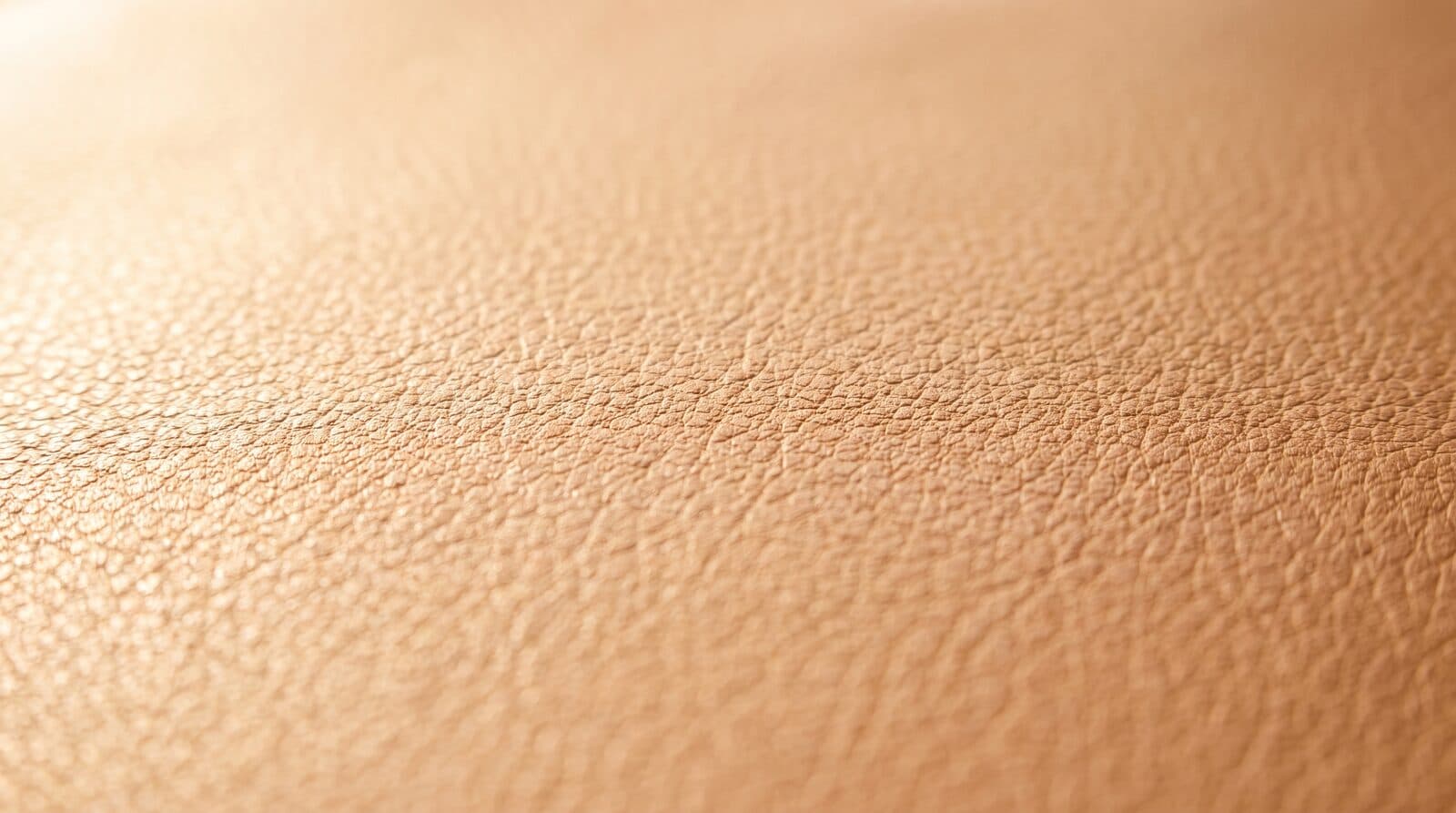 A warm neutral leather surface in soft daylight